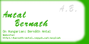 antal bernath business card
